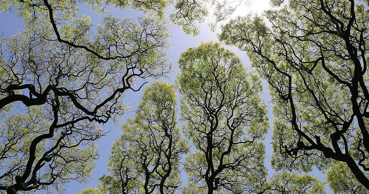 contact-header thumb